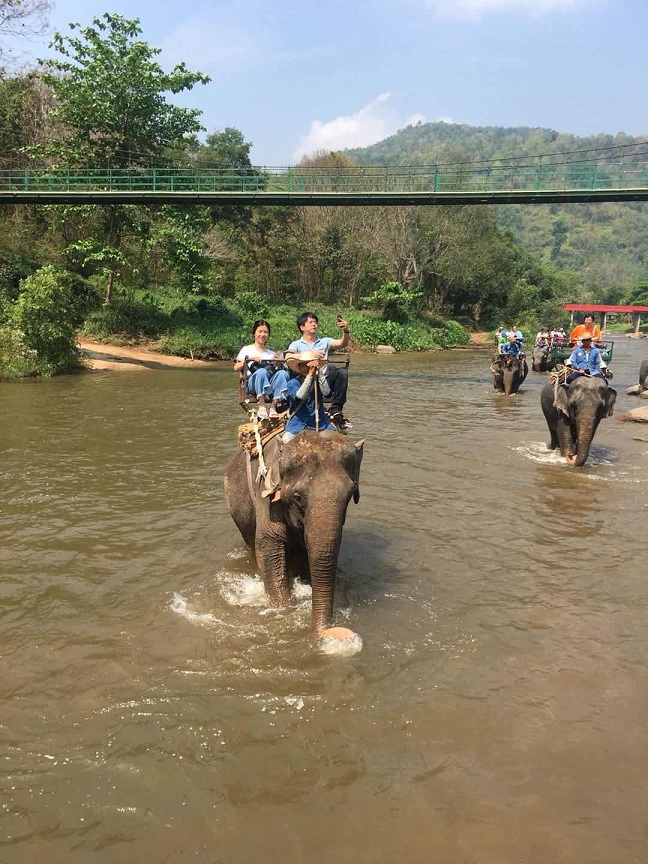 1652029043973231.jpg 20180622091430_97420.jpg